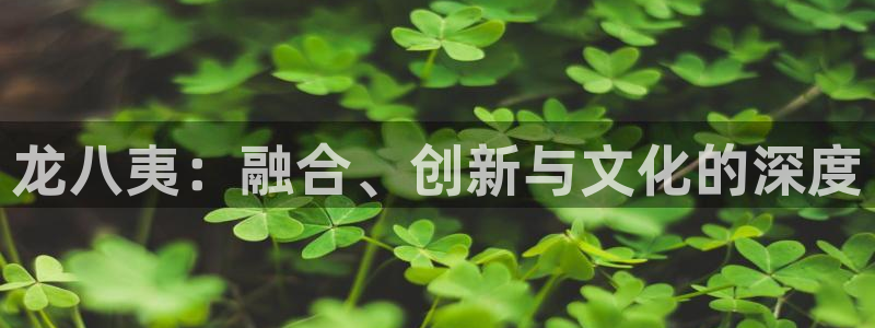 彩客网体育在线注册：龙八夷：融合、创新与文化的深度