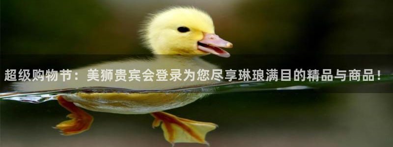 彩客网4官网：超级购物节：美狮贵宾会登录为您尽享琳琅满目的精品与商品！