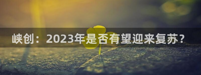 彩客网体育游戏：峡创：2023年是否有望迎来复苏？