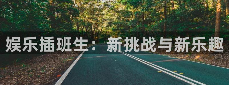 彩客网2代理注册：娱乐插班生：新挑战与新乐趣