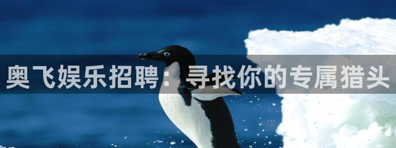 彩客网体育3：奥飞娱乐招聘：寻找你的专属猎头