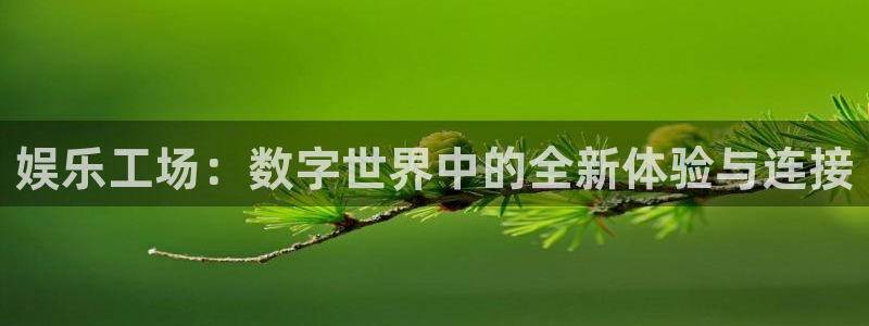 彩客网招商：娱乐工场：数字世界中的全新体验与连接