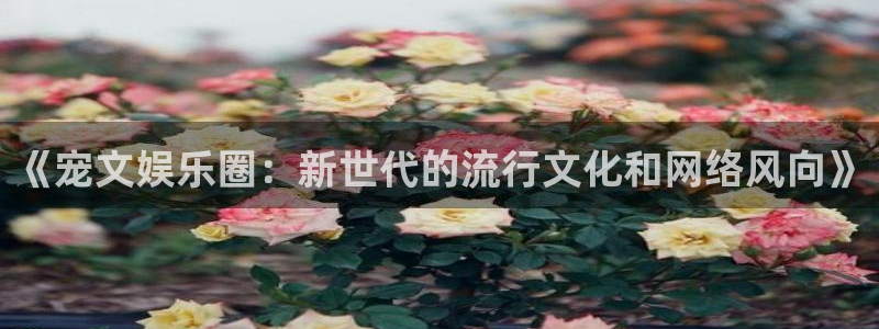 彩客网f凯捷注册：《宠文娱乐圈：新世代的流行文化和网络风向》