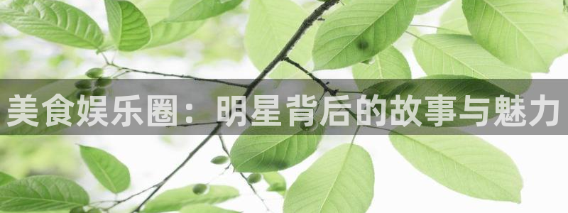 彩客网3登陆：美食娱乐圈：明星背后的故事与魅力