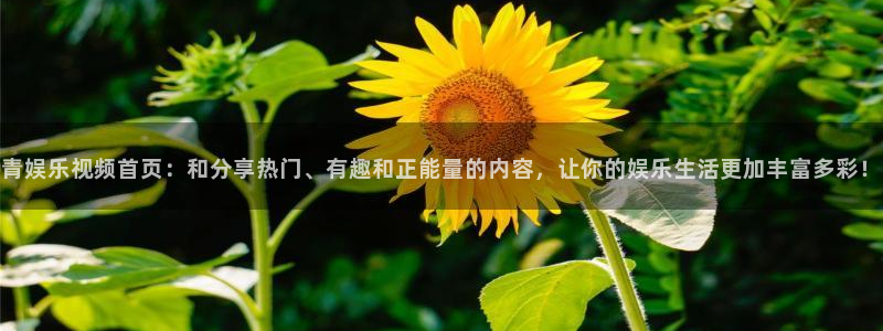 彩客网体育老板是谁：青娱乐视频首页：和分享热门、有趣和正能量的内容，让你的娱乐生