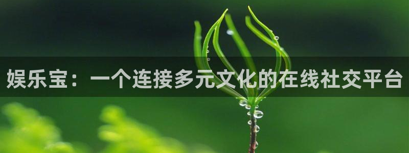 彩客网登录注册：娱乐宝：一个连接多元文化的在线社交平台
