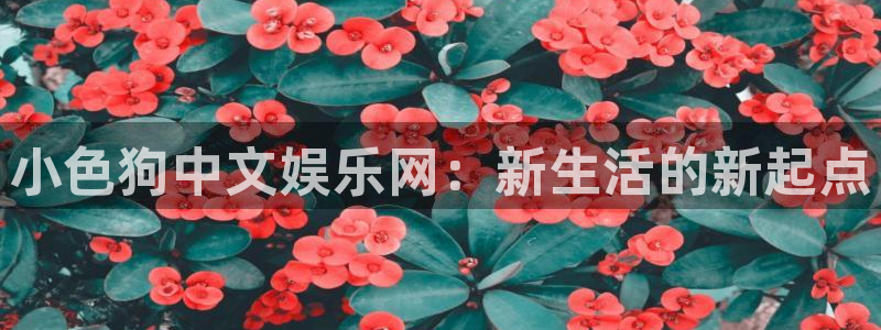 彩客网凯捷注册：小色狗中文娱乐网：新生活的新起点