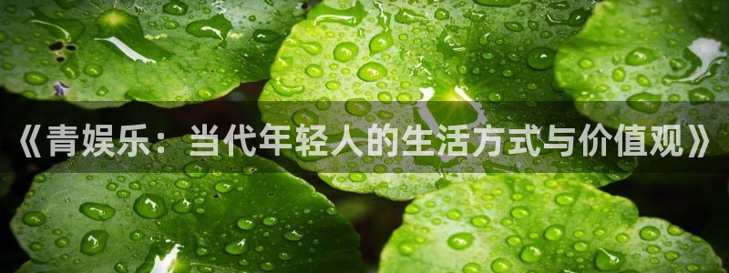 彩客网2登录入口：《青娱乐：当代年轻人的生活方式与价值观》