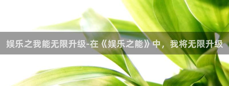 彩客网主管：娱乐之我能无限升级-在《娱乐之能》中，我将无限升级