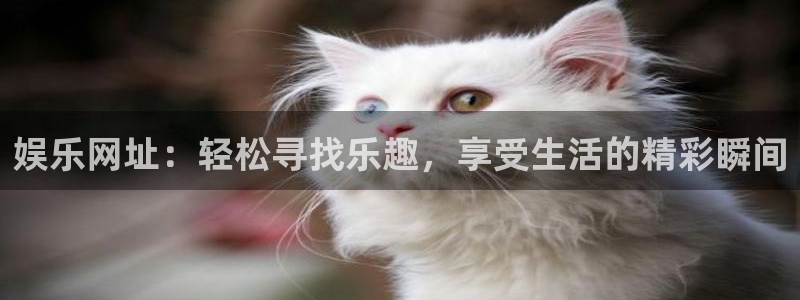 彩客网2平台注册：娱乐网址：轻松寻找乐趣，享受生活的精彩瞬间