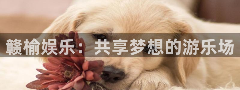 彩客网k：赣榆娱乐：共享梦想的游乐场