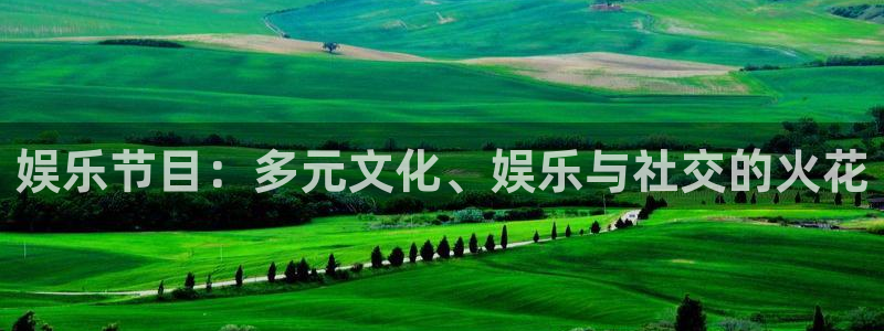 彩客网3登陆：娱乐节目：多元文化、娱乐与社交的火花