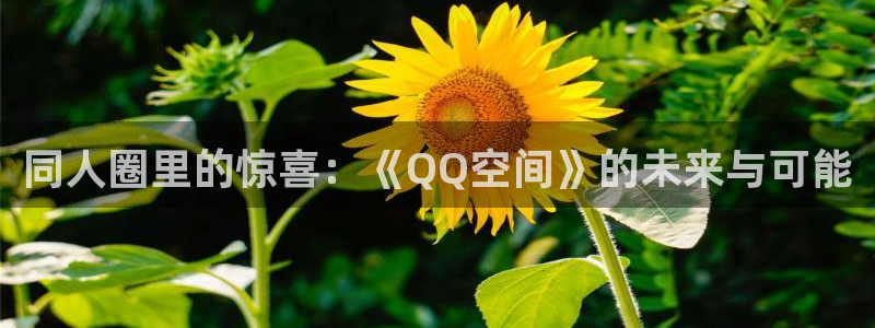 彩客网体育凯捷平台主管：同人圈里的惊喜：《QQ空间》的未来与可能
