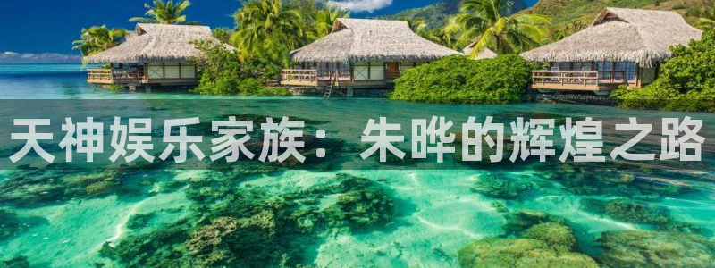 彩客网3平台注册：天神娱乐家族：朱晔的辉煌之路