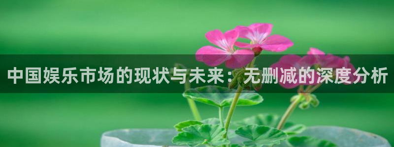 彩客网官网注册：中国娱乐市场的现状与未来：无删减的深度分析