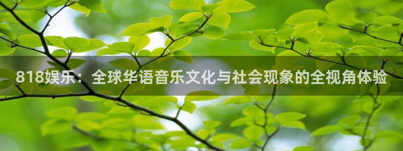 彩客网2体育：818娱乐：全球华语音乐文化与社会现象的全视角体验