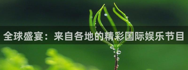 彩客网2注册：全球盛宴：来自各地的精彩国际娱乐节目